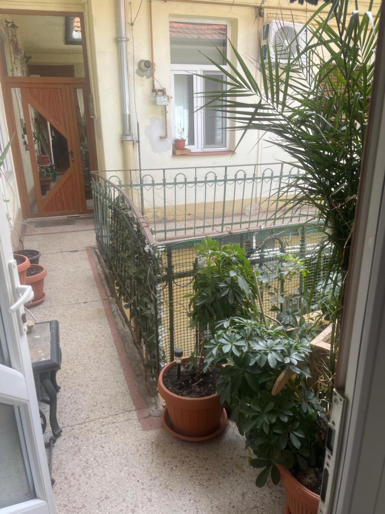 Sia'S Home Nagyvárad Kültér fotó